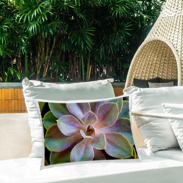 Stupell Industries Susan Bryant | Blooming Succulent Leaves