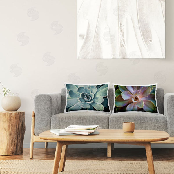 Stupell Industries Susan Bryant | Centric Succulent Forms