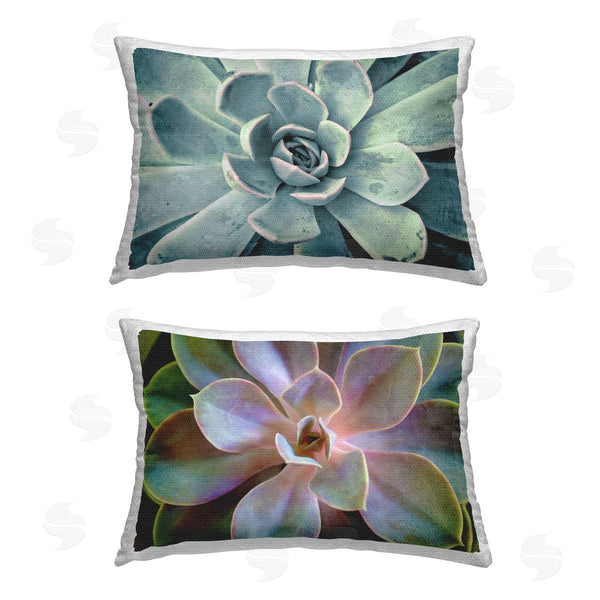Stupell Industries Susan Bryant | Centric Succulent Forms