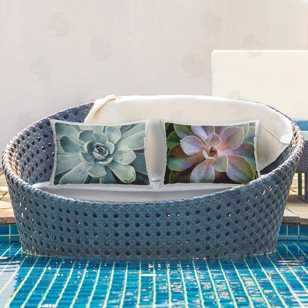 Stupell Industries Susan Bryant | Centric Succulent Forms