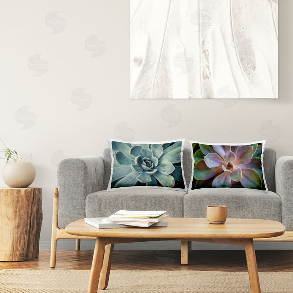 stupell industries Susan Bryant | Centric Succulent Forms