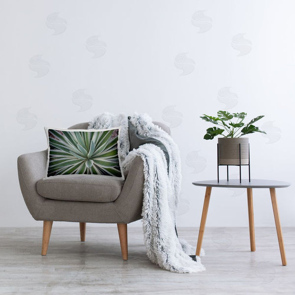 Stupell Industries Susan Bryant | Centric Succulent Leaves