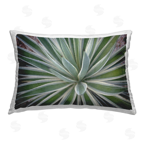 Stupell Industries Susan Bryant | Centric Succulent Leaves