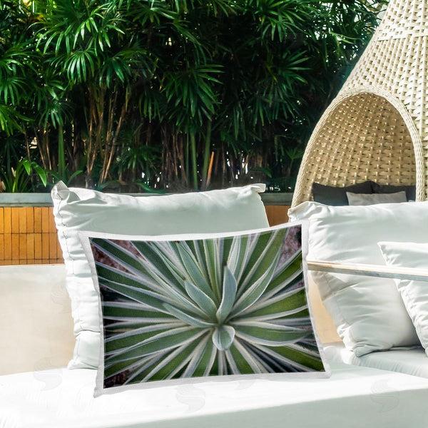 Stupell Industries Susan Bryant | Centric Succulent Leaves