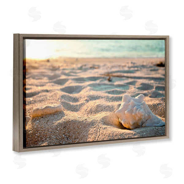 Stupell Industries Susan Bryant | Conch Shell In Sand