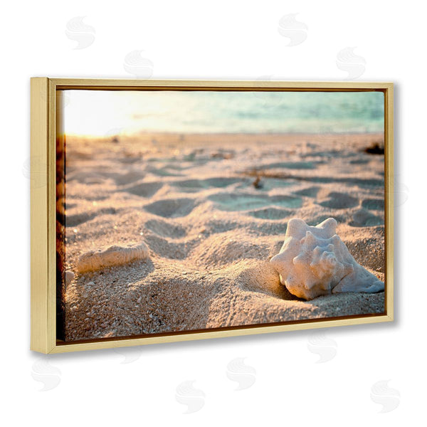 Stupell Industries Susan Bryant | Conch Shell In Sand