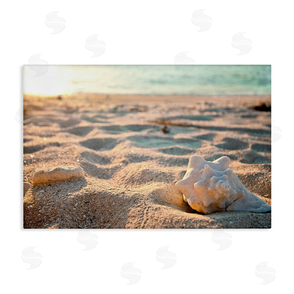 stupell industries Susan Bryant | Conch Shell in Sand