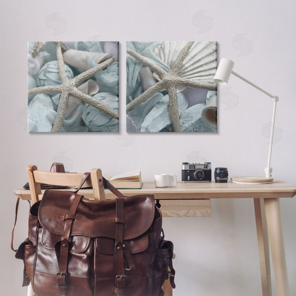 Stupell Industries Susan Bryant | Dry Distressed Starfish Wall Art