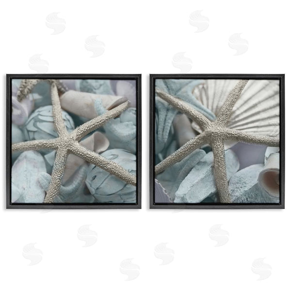 Stupell Industries Susan Bryant | Dry Distressed Starfish Wall Art