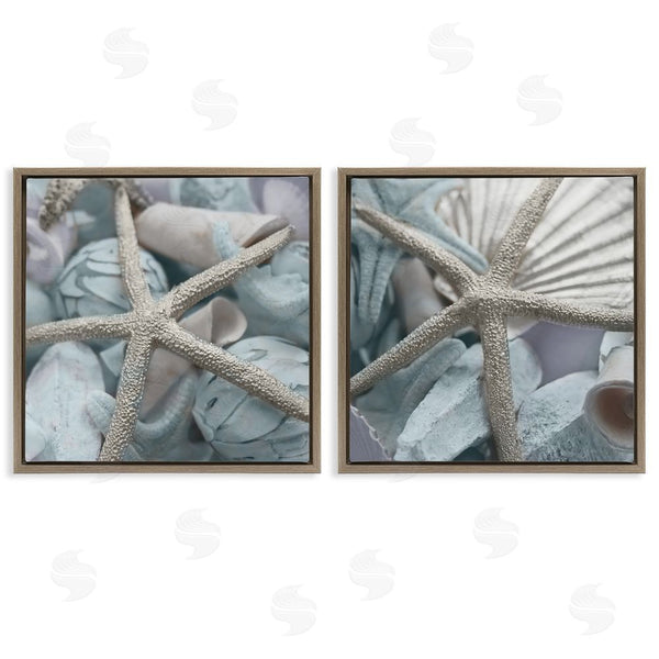 Stupell Industries Susan Bryant | Dry Distressed Starfish Wall Art