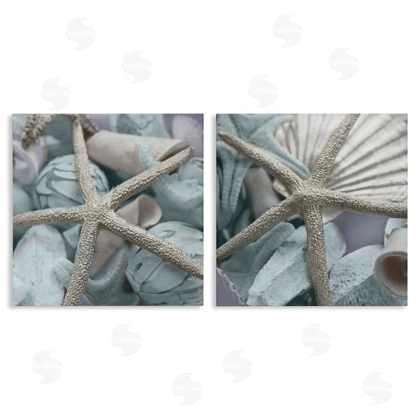 stupell industries Susan Bryant | Dry Distressed Starfish Wall Art