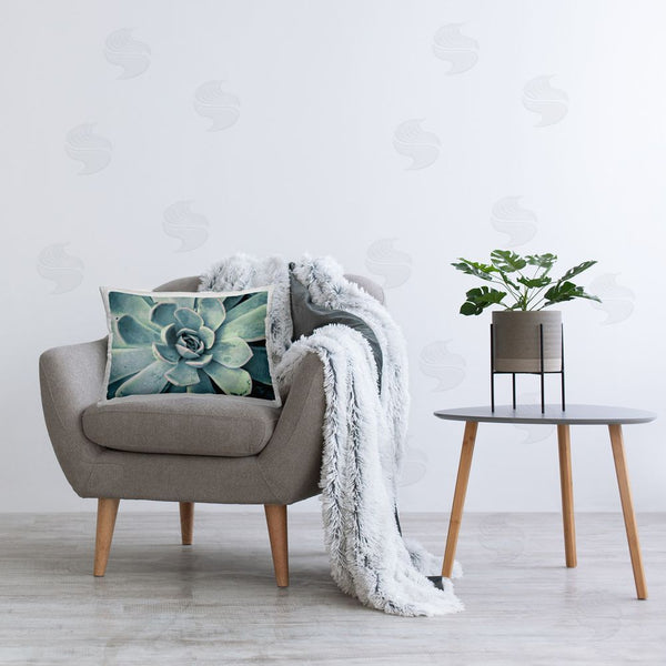 Stupell Industries Susan Bryant | Green Cactus Succulent