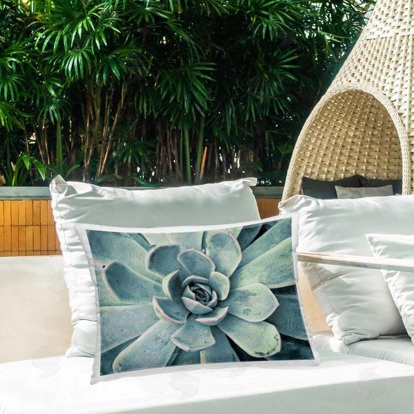 Stupell Industries Susan Bryant | Green Cactus Succulent