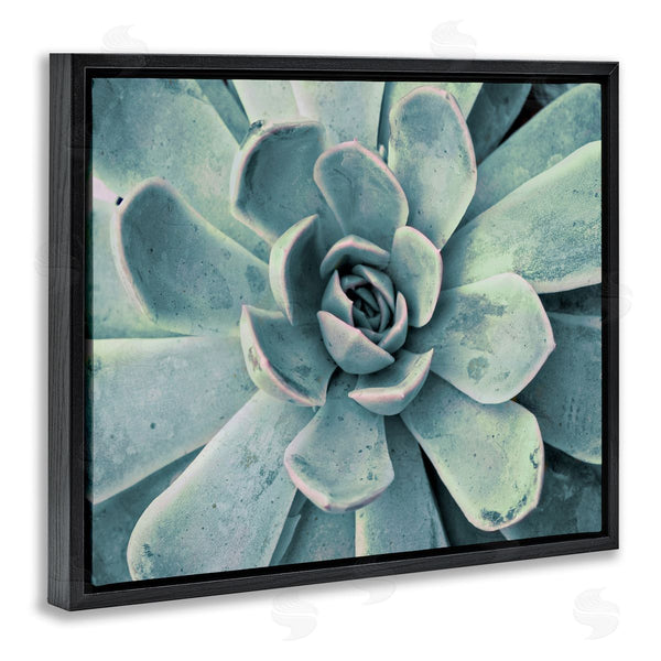 Stupell Industries Susan Bryant | Green Cactus Succulent