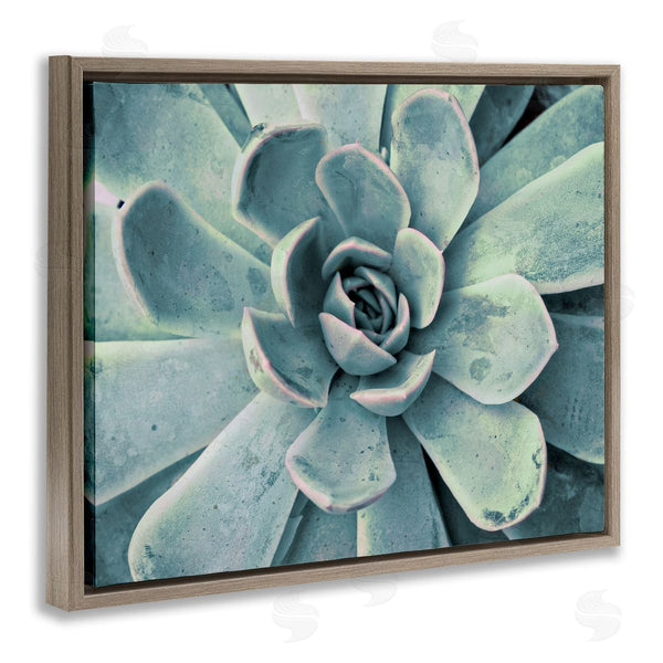 Stupell Industries Susan Bryant | Green Cactus Succulent