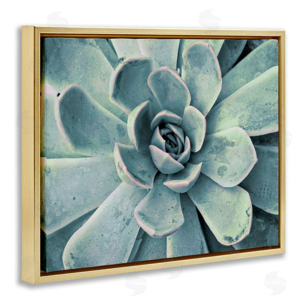 Stupell Industries Susan Bryant | Green Cactus Succulent