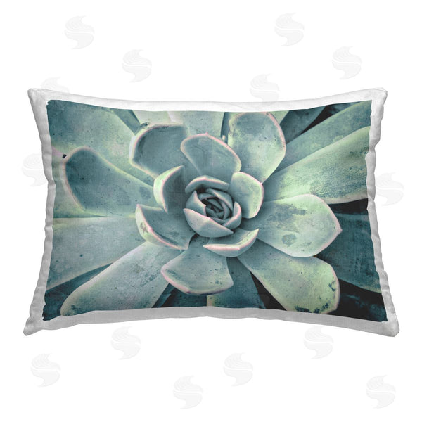 stupell industries Susan Bryant | Green Cactus Succulent
