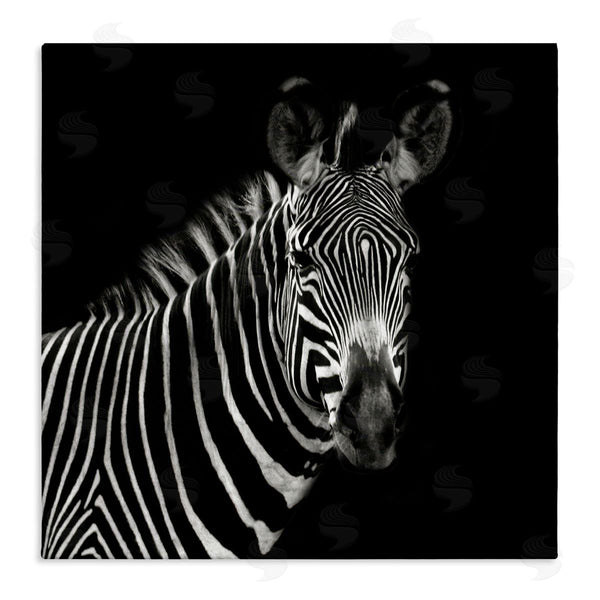stupell industries Susan Bryant | Jungle Zebra Portrait Wall Art