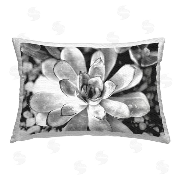 Stupell Industries Susan Bryant | Monochrome Succulent Leaves