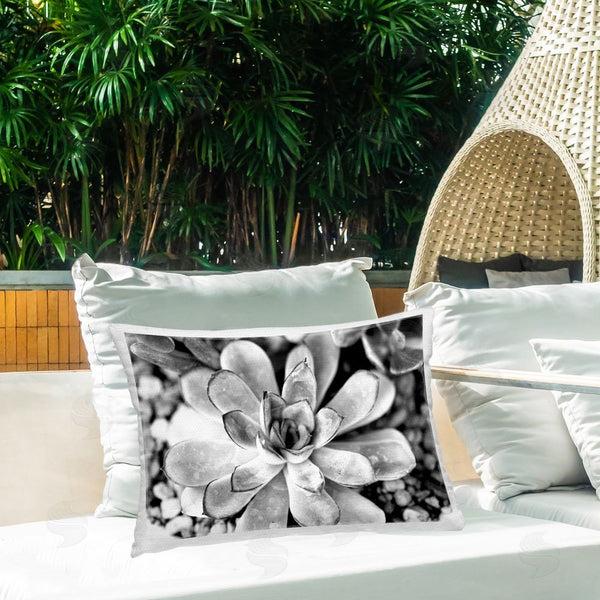 Stupell Industries Susan Bryant | Monochrome Succulent Leaves