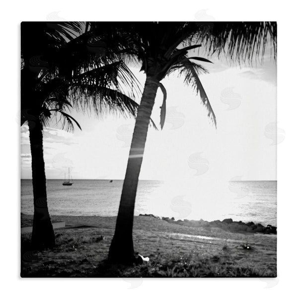 stupell industries Susan Bryant | Palm Tree Silhouettes
