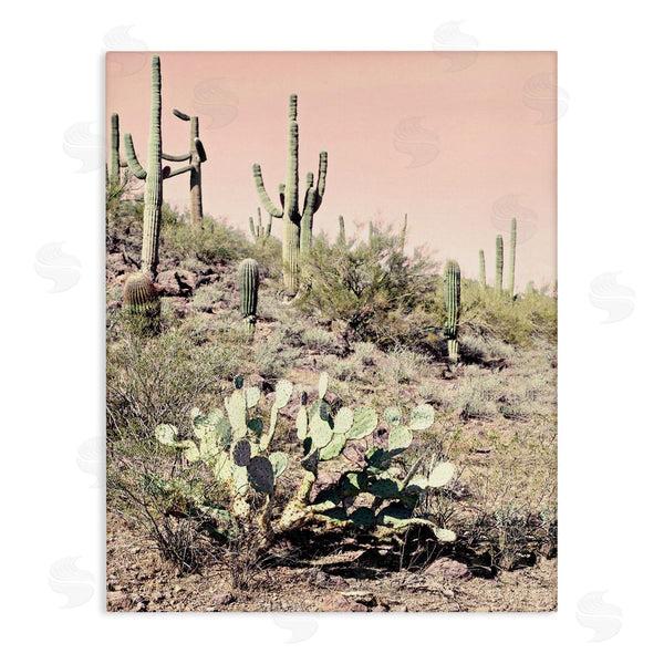 stupell industries Susan Bryant | Rustic Desert Scene Wall Art