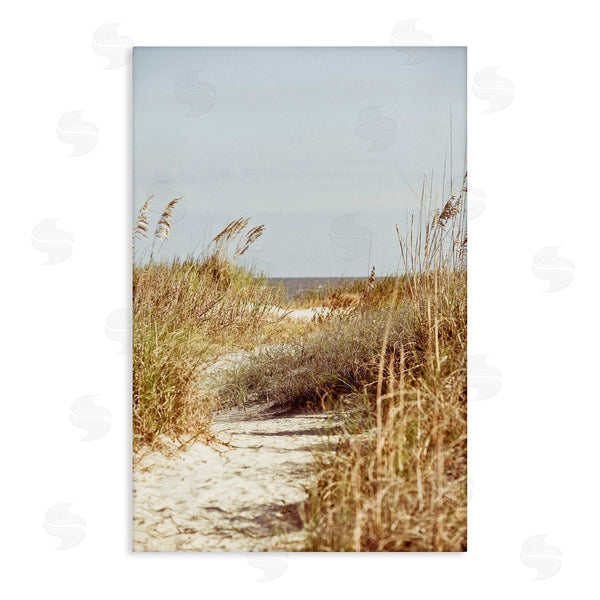 stupell industries Susan Bryant | Sandy Path with Reeds