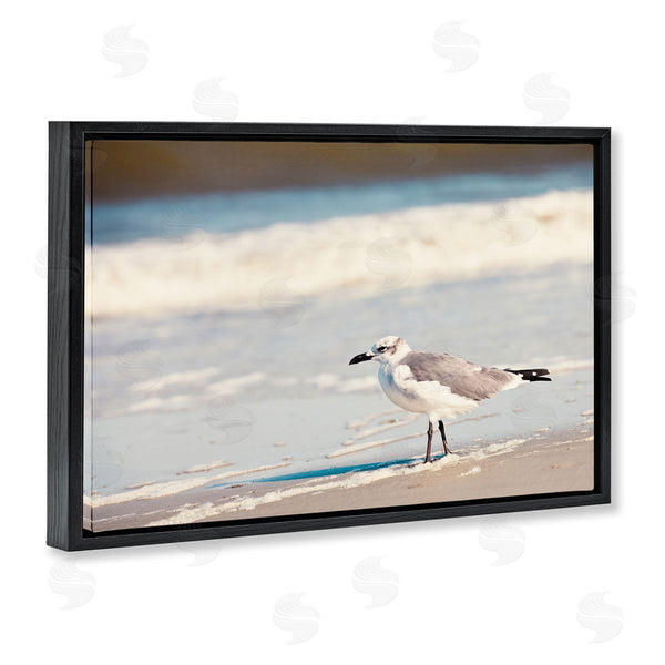 Stupell Industries Susan Bryant | Seagull Stepping On Shore
