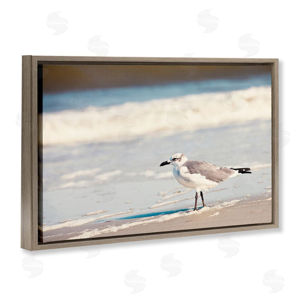 Stupell Industries Susan Bryant | Seagull Stepping On Shore