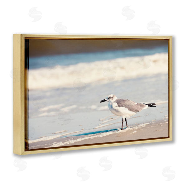 Stupell Industries Susan Bryant | Seagull Stepping On Shore