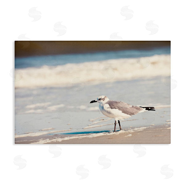 stupell industries Susan Bryant | Seagull Stepping on Shore