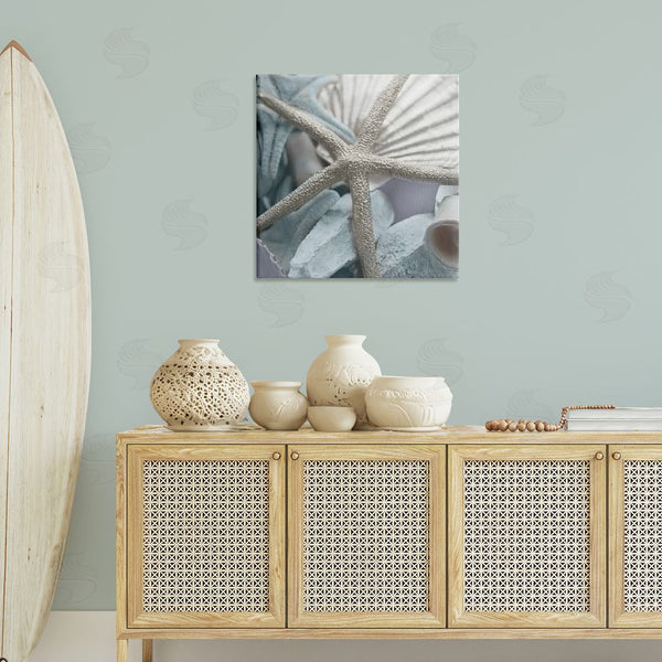 Stupell Industries Susan Bryant | Seashells & Starfish Wall Art