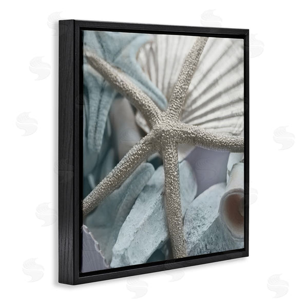 Stupell Industries Susan Bryant | Seashells & Starfish Wall Art