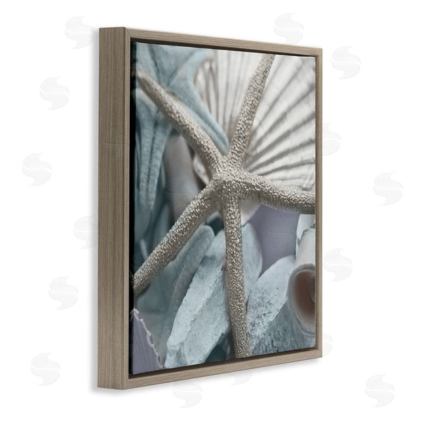 Stupell Industries Susan Bryant | Seashells & Starfish Wall Art