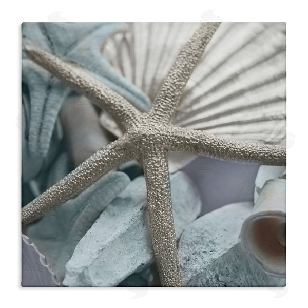 stupell industries Susan Bryant | Seashells & Starfish Wall Art