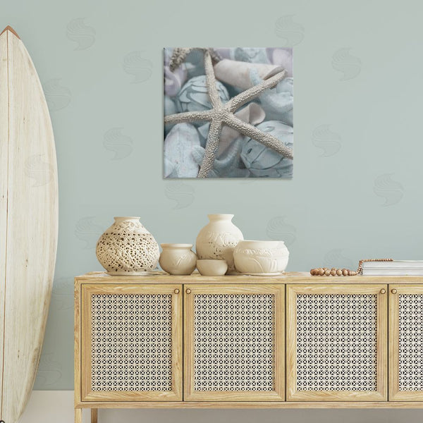 Stupell Industries Susan Bryant | Starfish & Various Shells Wall Art