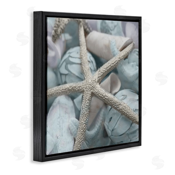Stupell Industries Susan Bryant | Starfish & Various Shells Wall Art