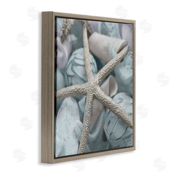 Stupell Industries Susan Bryant | Starfish & Various Shells Wall Art