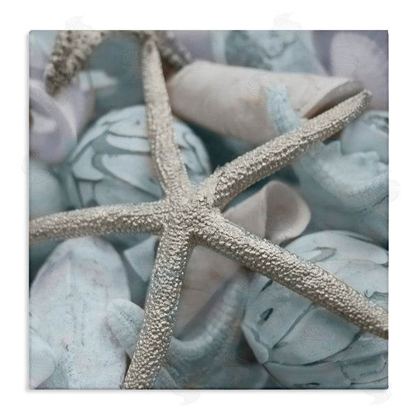 stupell industries Susan Bryant | Starfish & Various Shells Wall Art