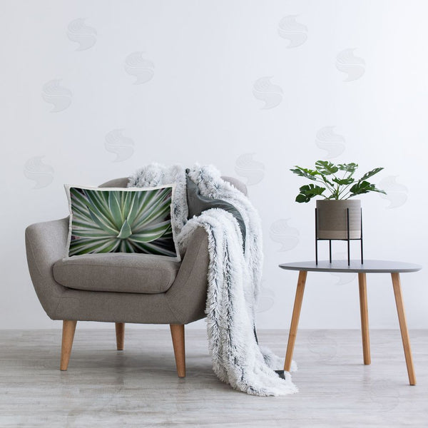 Stupell Industries Susan Bryant | Striped Plant Leaves