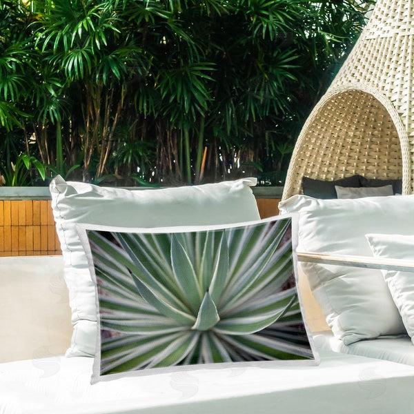 Stupell Industries Susan Bryant | Striped Plant Leaves
