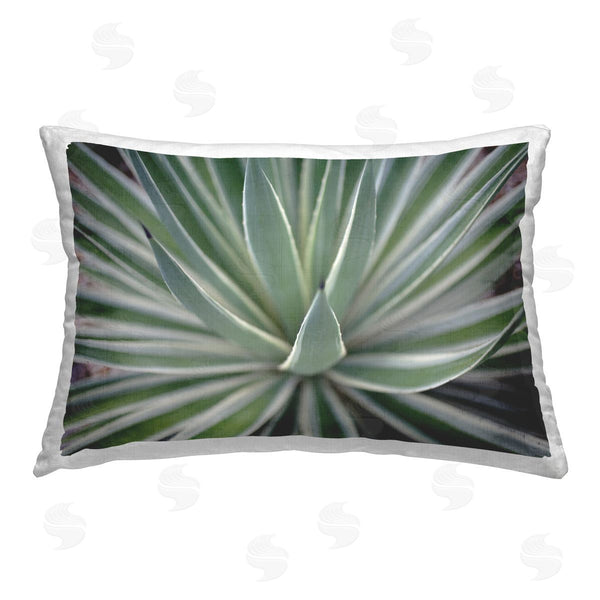 stupell industries Susan Bryant | Striped Plant Leaves