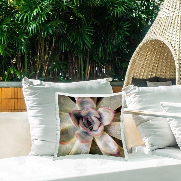 Stupell Industries Susan Bryant | Succulent Petals Pattern Printed Throw Pillow