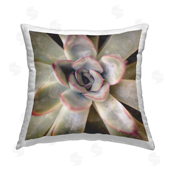stupell industries Susan Bryant | Succulent Petals Pattern Printed Throw Pillow