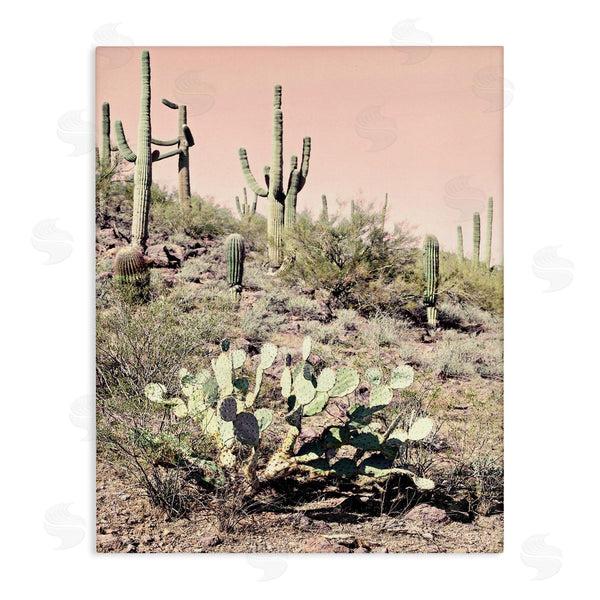 stupell industries Susan Bryant | Summer Dessert Landscape Cactus Prickly Pear Pink Sky Wall Art