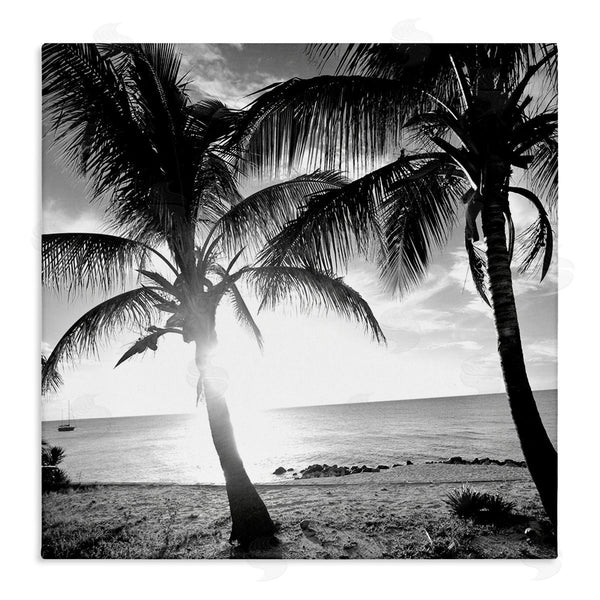 stupell industries Susan Bryant | Sunlit Palm Silhouettes