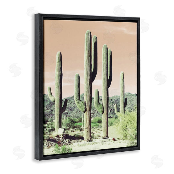 Stupell Industries Susan Bryant | Sunrise Cactus Scene Wall Art