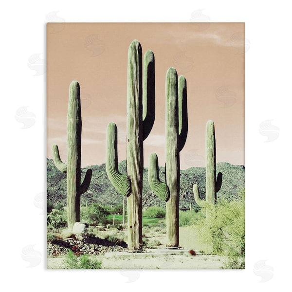 stupell industries Susan Bryant | Sunrise Cactus Scene Wall Art