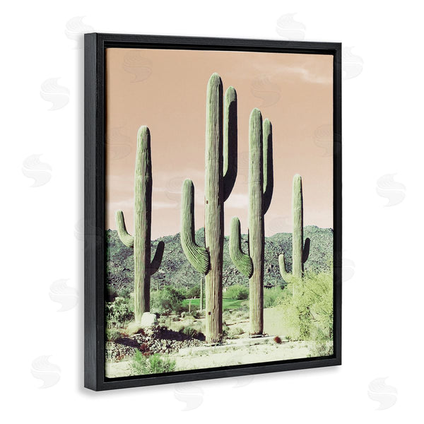 Stupell Industries Susan Bryant | Towering Cactus Plants Arid Desert Vegetation Nature Wall Art