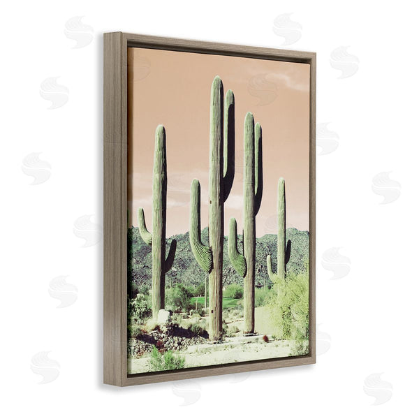 Stupell Industries Susan Bryant | Towering Cactus Plants Arid Desert Vegetation Nature Wall Art